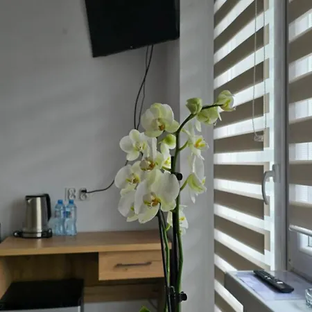 Quarto em Acomodações Particulares Unibal - Goscinne *