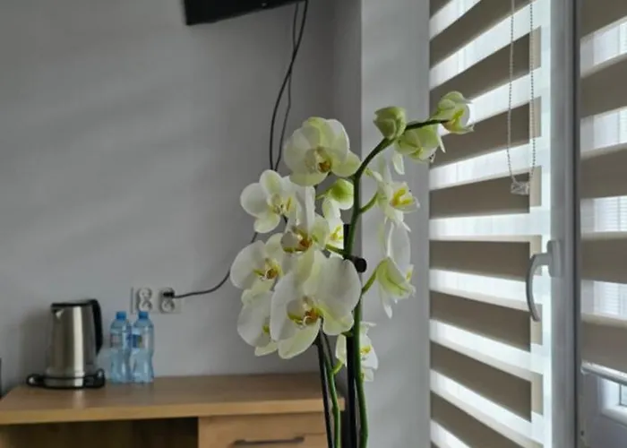 Homestay szállás Unibal - Goscinne *